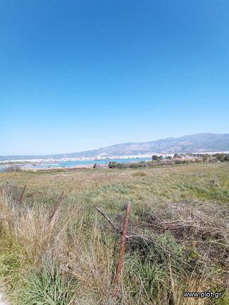 Αγροτεμάχια 17.000 τ.μ. για πώληση, Μαγνησία, Αισωνία