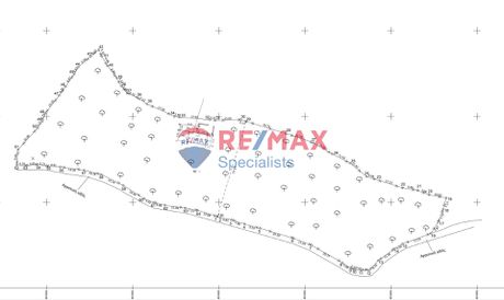 Αγροτεμάχια 12.200τ.μ. για πώληση-Σητεία