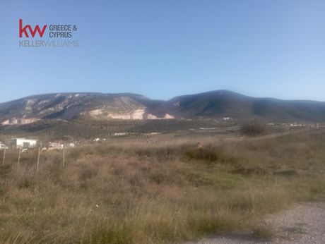 Parcel 54.000sqm for sale-Markopoulo