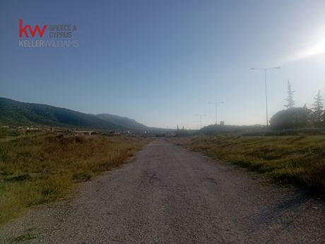 Land plot 42.000sqm for sale-Markopoulo