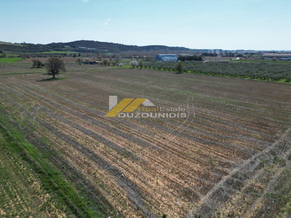 Αγροτεμάχια 19.500 τ.μ. προς πώληση, ΥΕΒ Αλεξανδρούπολης