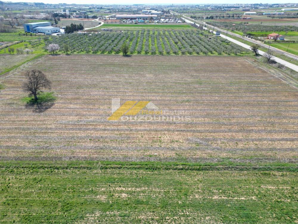 Αγροτεμάχια 19.500 τ.μ. προς πώληση, ΥΕΒ Αλεξανδρούπολης