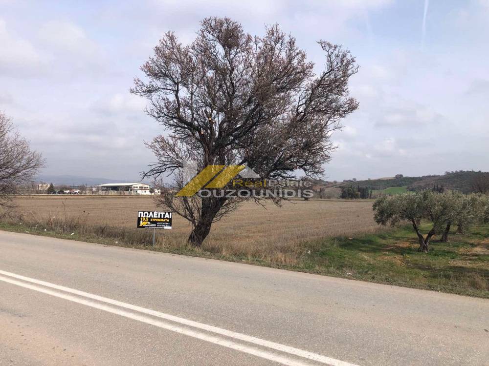 Αγροτεμάχια 19.500 τ.μ. προς πώληση, ΥΕΒ Αλεξανδρούπολης