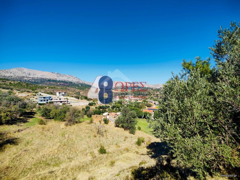 Οικόπεδο 10.350 τ.μ. προς πώληση, Πόλη Χίου