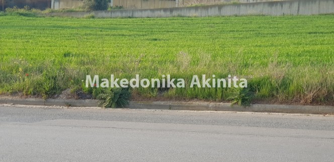 Οικόπεδο 2.500 τ.μ. πρός ενοικίαση, Θεσσαλονίκη - Περιφ/Κοί Δήμοι, Εύοσμος