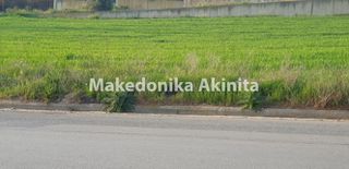 Οικόπεδο 2.500 τ.μ. για ενοικίαση