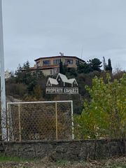 Ξενοδοχείο 1.000 τ.μ. για πώληση, Εβρος, Φέρες-thumb-1
