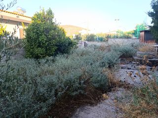 Καθαρισμοί οικοπέδων-thumb-5