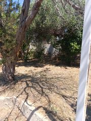 Καθαρισμοί οικοπέδων-thumb-8