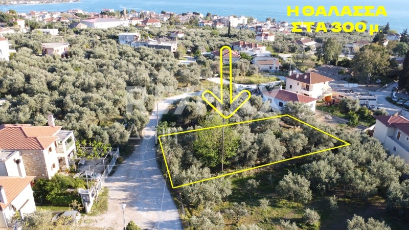 Οικόπεδο 506,60 τ.μ. πρός πώληση, Μαγνησία, Αγριά