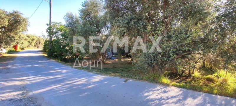 Οικόπεδο 506,60 τ.μ. πρός πώληση, Μαγνησία, Αγριά