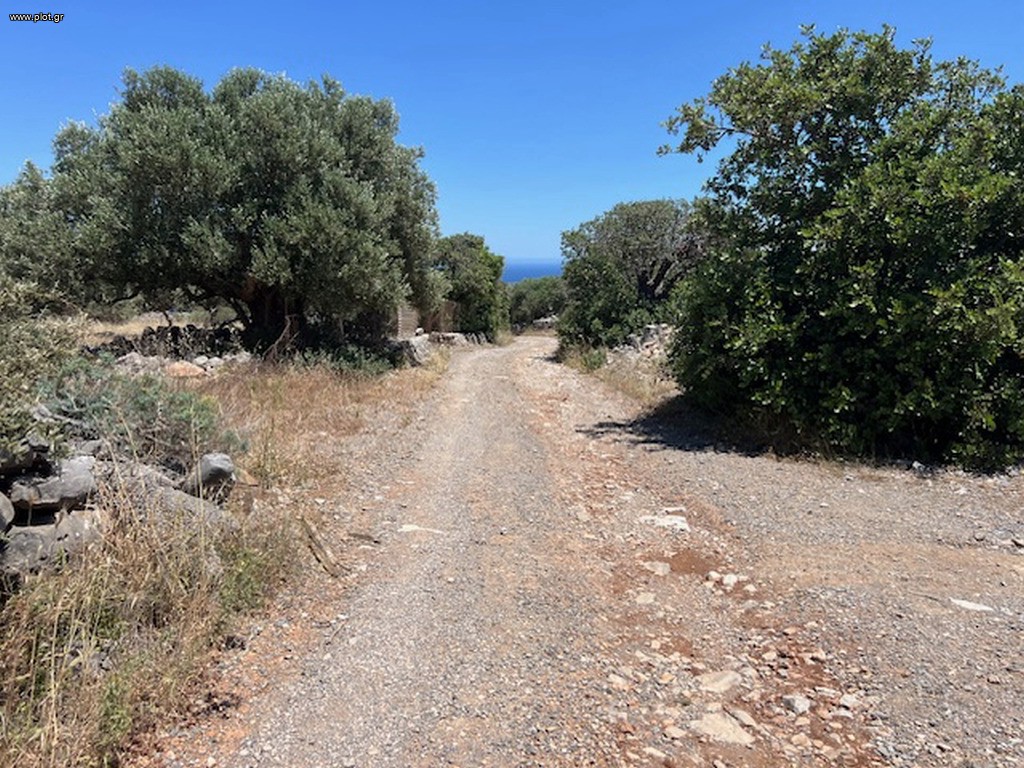 Οικόπεδο 4.861 τ.μ. πρός πώληση, Ν. Λασιθίου, Άγιος Νικόλαος