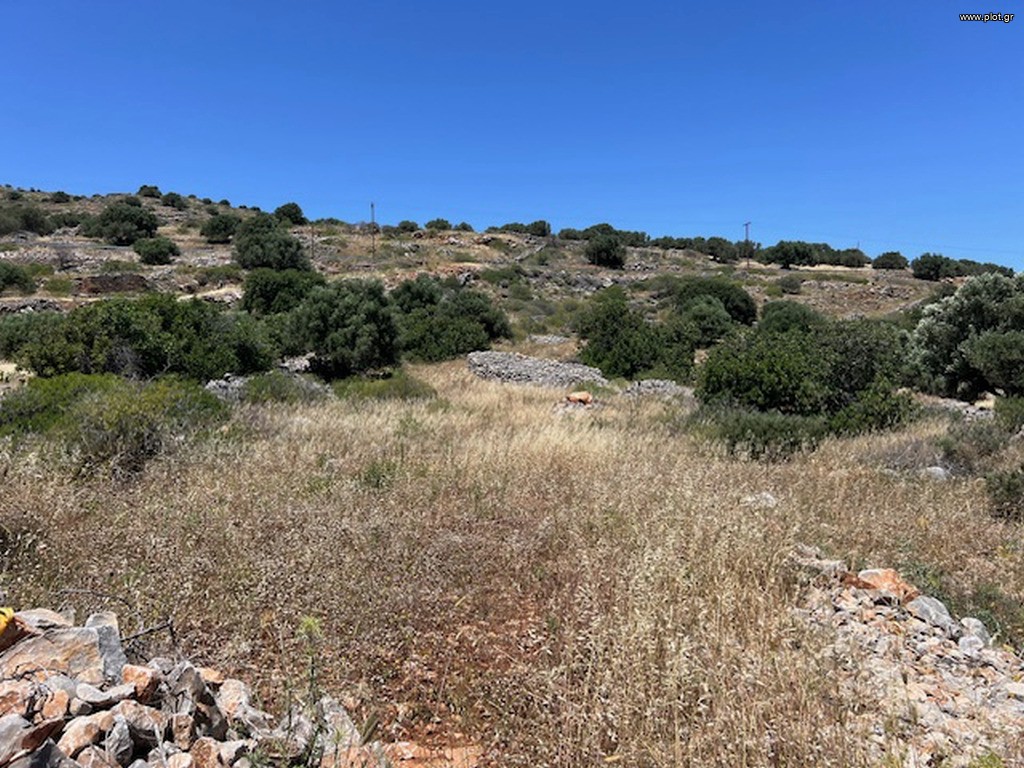 Οικόπεδο 4.861 τ.μ. πρός πώληση, Ν. Λασιθίου, Άγιος Νικόλαος