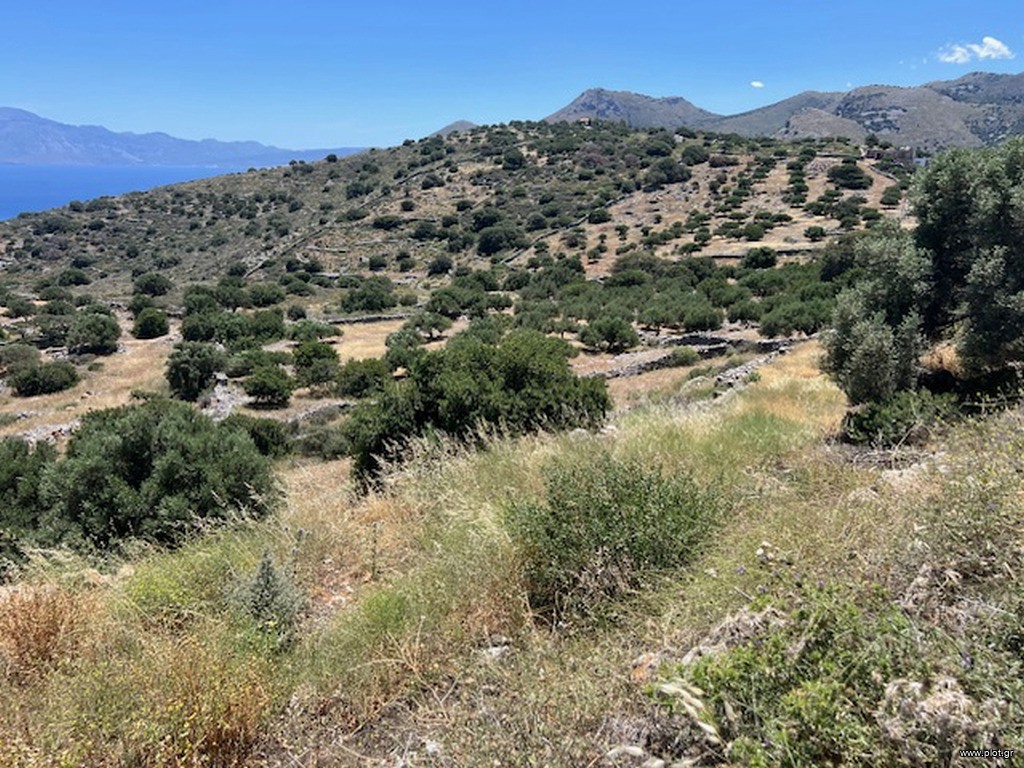 Οικόπεδο 4.861 τ.μ. πρός πώληση, Ν. Λασιθίου, Άγιος Νικόλαος