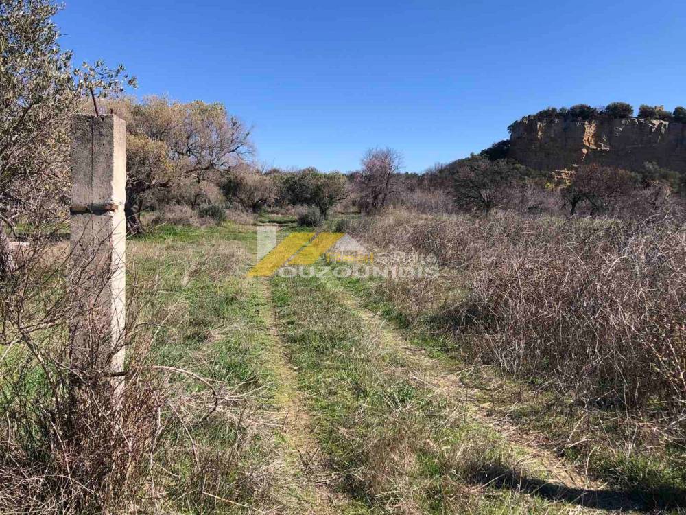 Αγροτεμάχια 1.800 τ.μ. πρός πώληση, Εβρος, Αλεξανδρούπολη