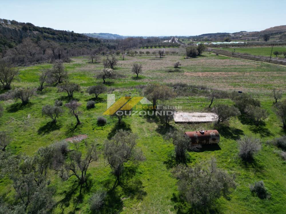 Αγροτεμάχια 1.800 τ.μ. πρός πώληση, Εβρος, Αλεξανδρούπολη