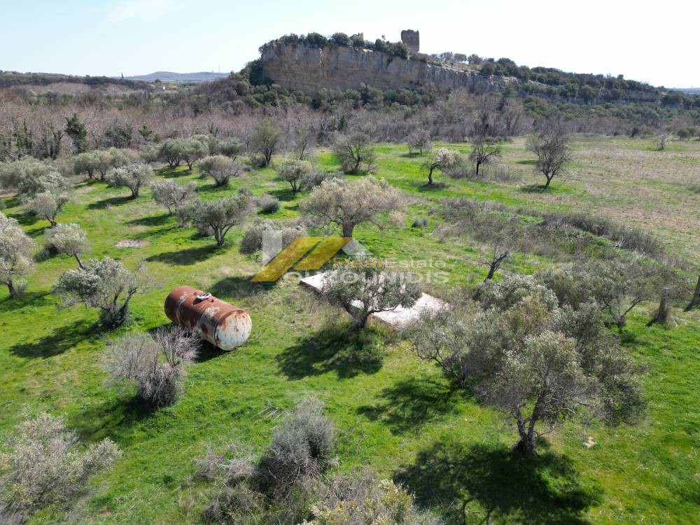 Αγροτεμάχια 1.800 τ.μ. πρός πώληση, Εβρος, Αλεξανδρούπολη