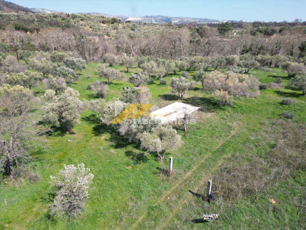 Αγροτεμάχια 1.800 τ.μ. πρός πώληση, Εβρος, Αλεξανδρούπολη