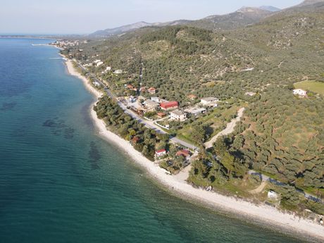 Αγροτεμάχια 1.780τ.μ. για πώληση-Θάσος » Σκάλα καλλιράχης