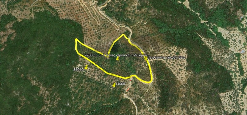 Αγροτεμάχια 22.000 τ.μ. προς πώληση, Πλατανιά Σηπιάδας