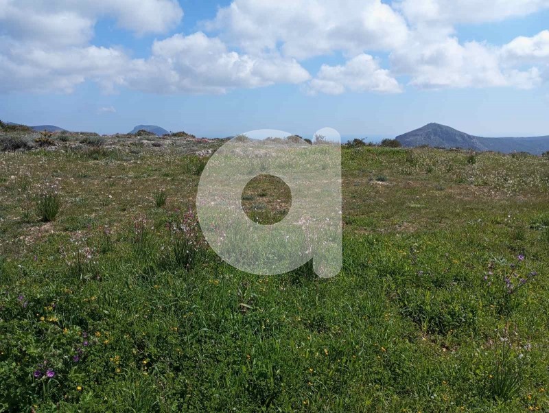 Οικόπεδο 5.330 τ.μ. πρός πώληση, Λακωνία, Κύθηρα