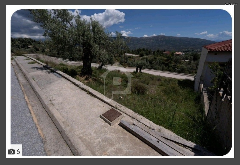 Οικόπεδο 471 τ.μ. προς πώληση, Άγιοι Ασώματοι Ερέτριας