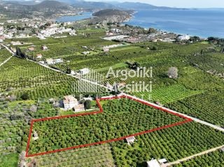 Αγροτεμάχια 9.287 τ.μ. για πώληση, Αργολίδα, Ασίνη-thumb-2