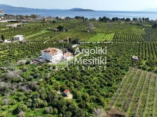 Αγροτεμάχια 9.287 τ.μ. για πώληση, Αργολίδα, Ασίνη-thumb-8