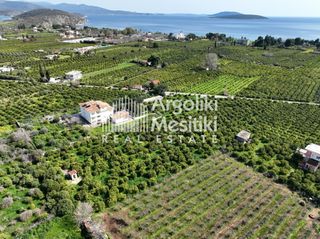 Αγροτεμάχια 9.287 τ.μ. για πώληση, Αργολίδα, Ασίνη-thumb-23