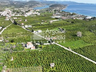 Αγροτεμάχια 9.287 τ.μ. για πώληση, Αργολίδα, Ασίνη-thumb-17