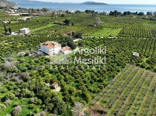 Αγροτεμάχια 9.287 τ.μ. για πώληση, Αργολίδα, Ασίνη-thumb-9