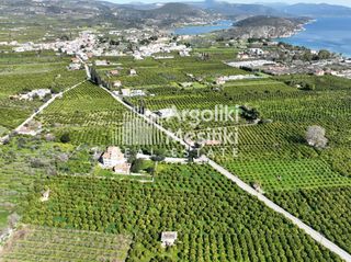 Αγροτεμάχια 9.287 τ.μ. για πώληση, Αργολίδα, Ασίνη-thumb-16