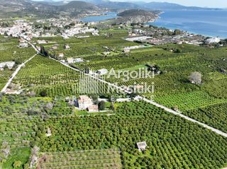 Αγροτεμάχια 9.287 τ.μ. για πώληση, Αργολίδα, Ασίνη-thumb-18