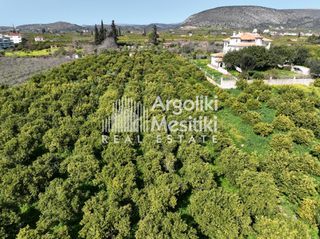 Αγροτεμάχια 9.287 τ.μ. για πώληση, Αργολίδα, Ασίνη-thumb-20