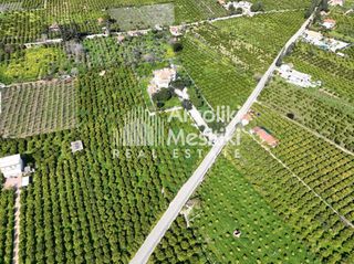 Αγροτεμάχια 9.287 τ.μ. για πώληση, Αργολίδα, Ασίνη-thumb-11