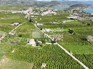Αγροτεμάχια 9.287 τ.μ. για πώληση, Αργολίδα, Ασίνη-thumb-15