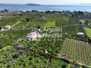 Αγροτεμάχια 9.287 τ.μ. για πώληση, Αργολίδα, Ασίνη-thumb-21