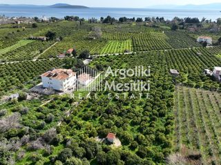 Αγροτεμάχια 9.287 τ.μ. για πώληση, Αργολίδα, Ασίνη-thumb-7