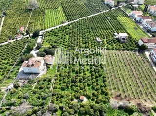 Αγροτεμάχια 9.287 τ.μ. για πώληση, Αργολίδα, Ασίνη-thumb-3