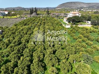 Αγροτεμάχια 9.287 τ.μ. για πώληση, Αργολίδα, Ασίνη-thumb-19