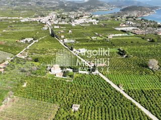 Αγροτεμάχια 9.287 τ.μ. για πώληση, Αργολίδα, Ασίνη-thumb-24