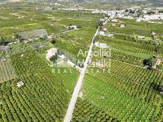 Αγροτεμάχια 9.287 τ.μ. για πώληση, Αργολίδα, Ασίνη-thumb-12