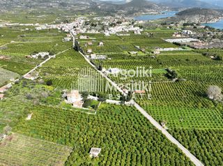 Αγροτεμάχια 9.287 τ.μ. για πώληση, Αργολίδα, Ασίνη-thumb-14