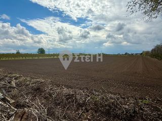 Αγροτεμάχια 8.450 τ.μ. για πώληση, Ημαθία, Αντιγονίδες-thumb-2