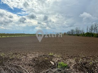 Αγροτεμάχια 8.450 τ.μ. για πώληση, Ημαθία, Αντιγονίδες-thumb-4