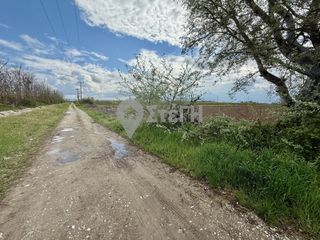 Αγροτεμάχια 8.450 τ.μ. για πώληση, Ημαθία, Αντιγονίδες-thumb-6
