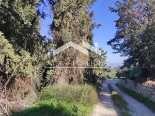 Οικόπεδο 6.350 τ.μ. για πώληση, Ν. Χανίων, Βάμος-thumb-12
