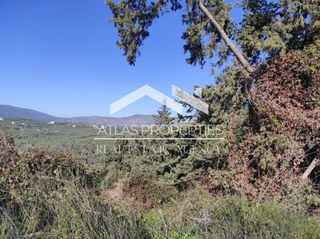 Οικόπεδο 6.350 τ.μ. για πώληση, Ν. Χανίων, Βάμος-thumb-5