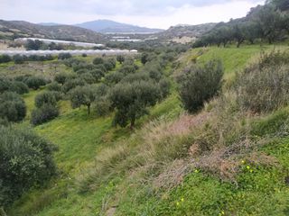 Parcel 8.000 sqm for sale
