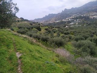 Αγροτεμάχια 8.000 τ.μ. για πώληση, Ν. Λασιθίου, Ιεράπετρα-thumb-2